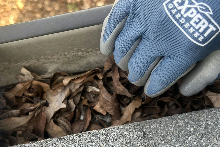 Gutter Cleaning Prairie Grove AR