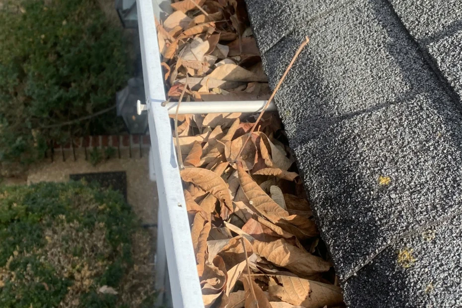 Gutter Cleaning Prairie Grove AR