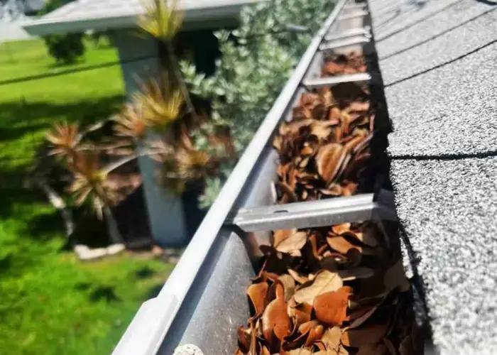 Gutter Cleaning Prairie Grove AR home page